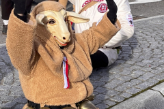 52d82ae8-f71b-49e3-af4e-8ca84c153b26